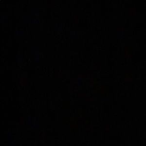 Meet your Posher, Isabella